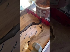 Ακτινοβολούμενη λάμψη σε βαθειά ρητίνη